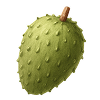 Soursop Root